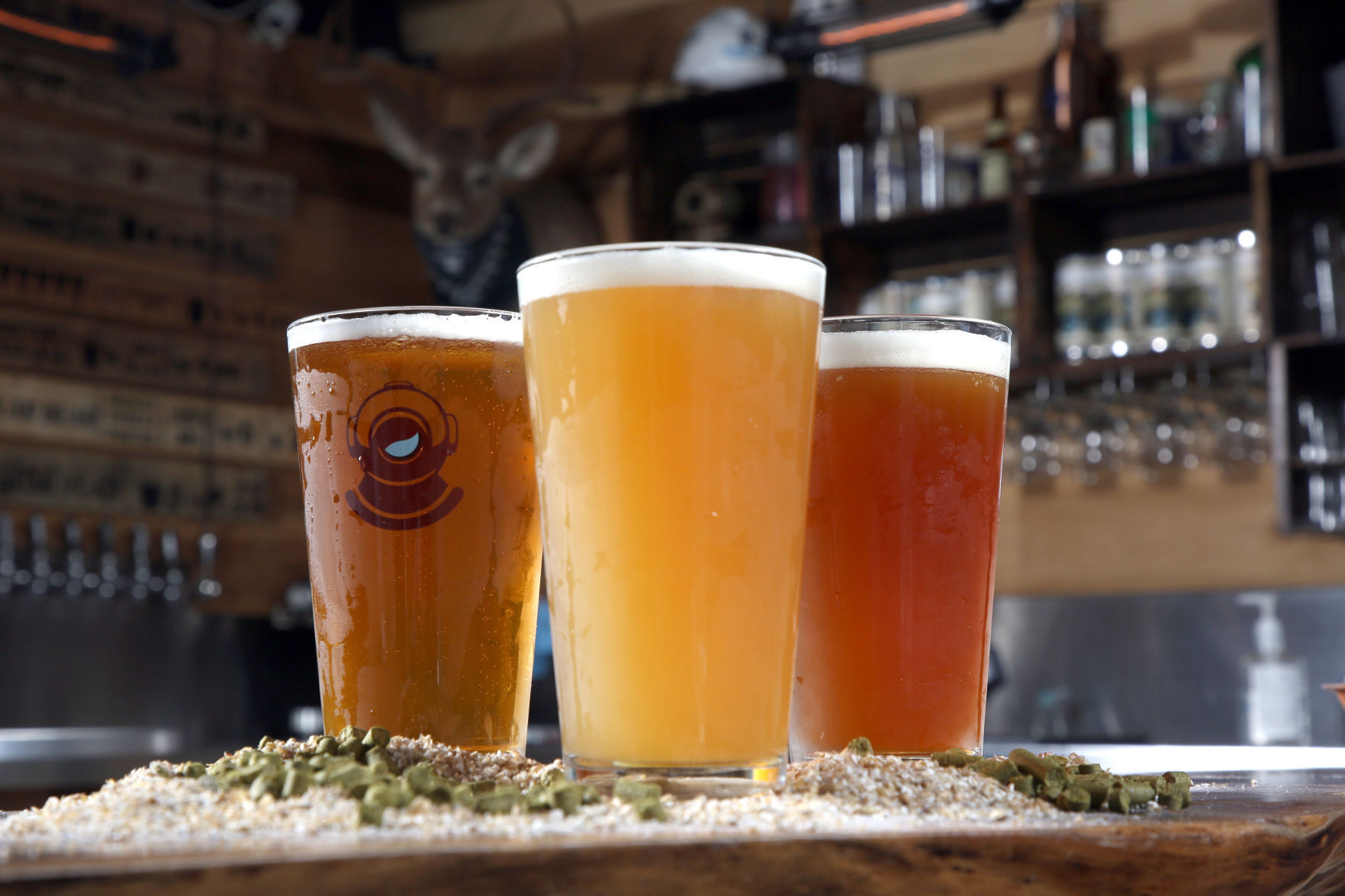Favor Craft Beer